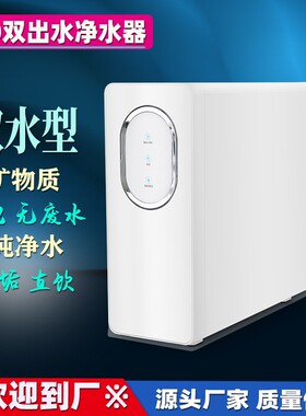 600G净水器家用厨房大流量净水机双出水直饮RO反渗透纯净水过滤器