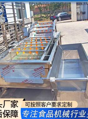 果蔬气泡清洗机多功能洗菜去农残清洗设备机高效304不锈钢板材
