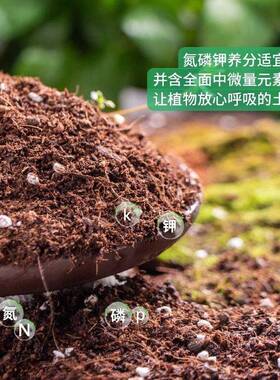营养土通用型养花种菜月季玫瑰专用泥炭土花卉盆栽腐殖土壤花土