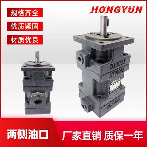 仙居永灵液压双联叶片泵YB1-2.5-10/2.5-10油泵YB1-65-100/32-50/ - 图1