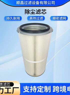 厂家供货工业除尘滤筒抛光喷涂除尘过滤粉尘空气过滤网筒除尘滤芯