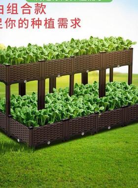 庭院种菜专用箱种植箱厚楼顶种菜专用箱阳台庭院室外特大号花盆塑