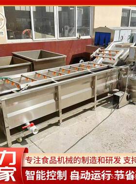 全自动果蔬气泡清洗机连续式圣女果清洗设备商用蔬菜清洗流水线