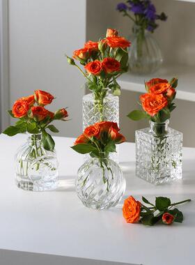 法式复古浮雕花瓶 迷你透明玻璃插花花瓶 桌面装饰彩绘花器
