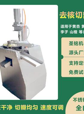 大型去核切瓣机 工业转盘式红枣去核 黄桃梨头加工切片机