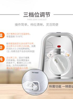 天际（家电） DDG-20N天际陶瓷电炖锅迷你bb煲汤煮粥白瓷正品养生