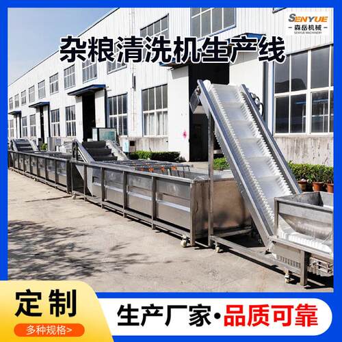 全自动大米清洗机谷物清洗机洗米机洗豆机高粱玉米粒气泡清洗机 - 图2