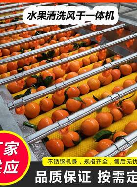 小青柑清洗选果机全自动橙子洗果机水果清洗风干一体机沃柑打蜡机