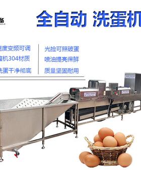 双蛋机 122全洗自动土鸡排蛋保洁前处理 鸡清洗风干杀菌流水蛋线
