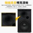 (SHILE)会议音响组合套装舞台ktv音响套装六声道输出会议系