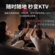 纽曼DP07话筒音箱家庭ktv音响套装家用迷你K歌麦克风一体机双麦