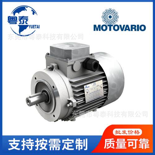 MOTOVARIO摩多利电机T63B4T71B4T80B4T90S4T100LA4T112MA4T132MA4 - 图0