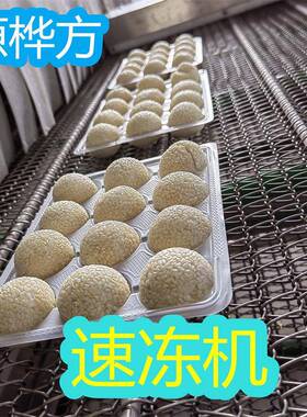 供应隧道式速冻机连续鸡爪凤爪平板冻设备金枪鱼冻结机