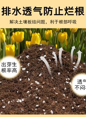 郁金香种球专用土养花通用百合风信子朱顶红专用种植营养泥炭花土