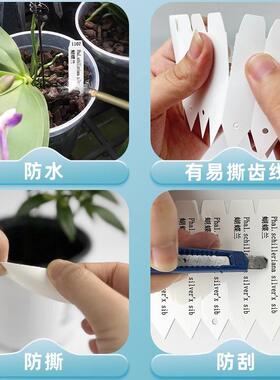彩色防水植物花牌育苗育种蝴蝶兰花牌标签机打连打园艺标签打印机