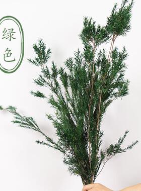千层金干花永生花花材节庆材料家居装饰插花花材云南鲜花基地直发