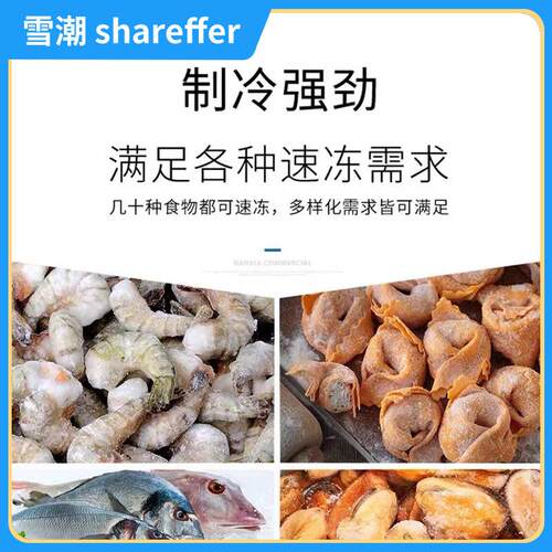 超低温冰柜卧式冰柜丸子水饺冷冻柜速冻柜冰柜储存柜商用冰柜 - 图2