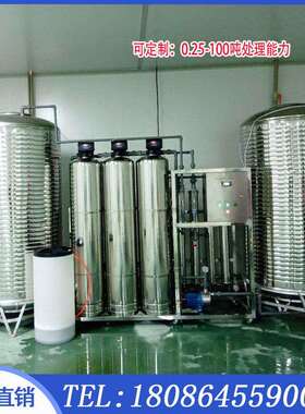 大型1-50T不锈钢RO纯水反渗透自动水处理设备工业单级双极反渗透