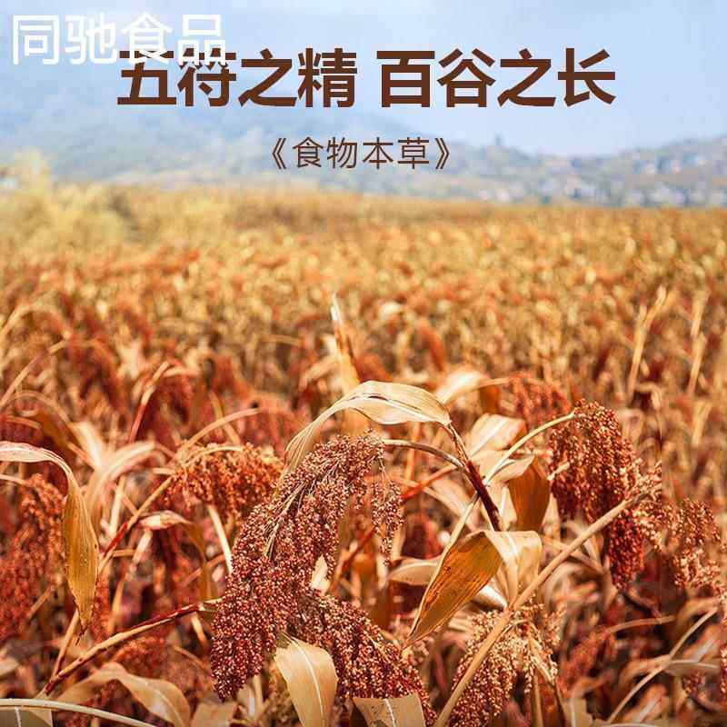 陕西特产农家高粱面条粗粮五谷杂粮面条凉面营养挂面凉面500g,淘宝优惠券,粉丝福利购,淘宝优惠卷