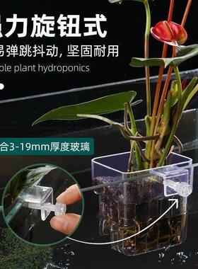 镂空花盆水培鱼缸水培定植篮水草种植杯壁挂式加厚家用透明水培篮