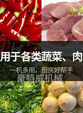 家用商用小型多功能不锈钢电动剁椒机打蒜泥生姜碎菜辣椒打酱机