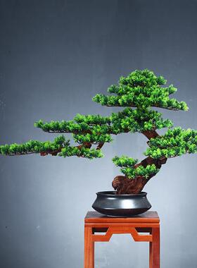新中式仿真绿植迎客松盆景玄关客厅茶室禅意室内松树造景家居摆件