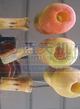 蓝天牌沙果去核机 海棠果去核机 杨梅去核机 专业全自动去核设备