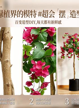仿真绿植高端轻奢三角梅中古风室内客厅高级感大型落地摆件假盆栽