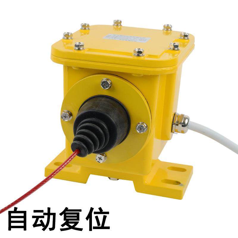 纵向撕裂开关ZLK-II防爆撕裂检测器EXZL-B撕裂保护开关装置BD-100 - 图3