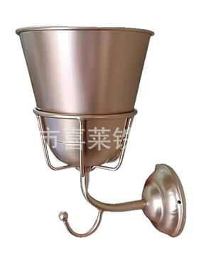 跨境新品Opal Wall Vessel挂钩花盆架一体金属创意壁挂家居装饰品