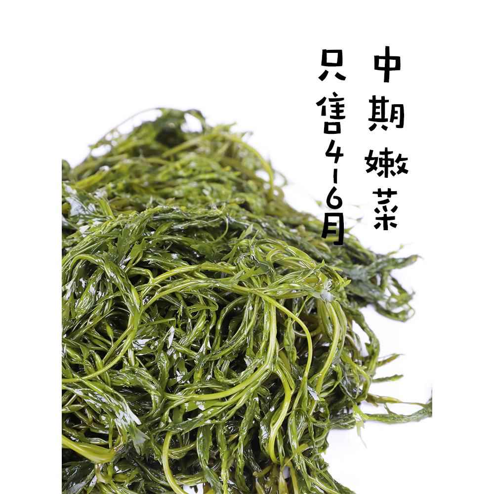 海草鞭炮笋5斤羊栖菜新鲜马尾藻长寿菜盐渍海藻菜半干货海带商用 - 图1