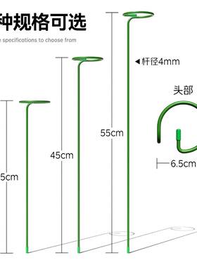植物防倒伏支架铁艺绣球吊兰支撑杆园艺固定架爬藤花卉朱顶红花架