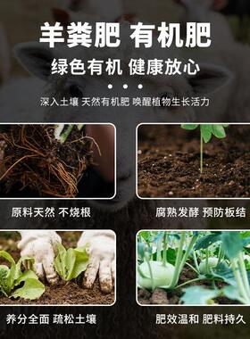 羊粪发酵有机肥料有机肥鸡粪肥纯羊粪颗粒花卉通用蔬菜腐熟羊粪蛋