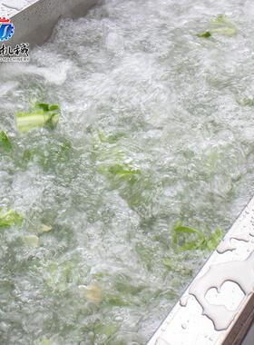 气泡清洗 提升机机 型切割机人工挑选分选腾昇机械台  大果蔬作业