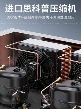 驰雪超低温冰柜全不锈钢零下-86度138升商用海鲜深冷柜实验室卧柜
