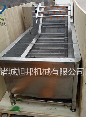 粽叶鼓泡翻浪清洗设备 薄荷叶涡流清洗机 喷淋式辣椒洗菜机
