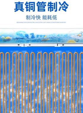 饮料啤酒展示柜商用冷藏保鲜柜蔬菜水果立式冰柜便利店单双门冰箱
