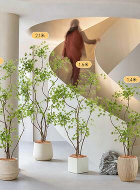 彷生植物枫树高级感轻奢落地摆件彷真绿色植物室内客厅家居美学装