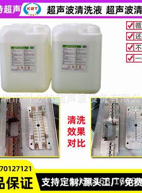 10L/20L/30L模具电解清洗机塑胶模具清洗机双槽模具清洗机