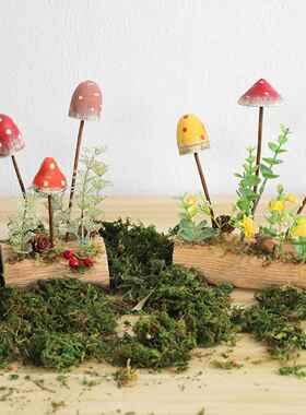 儿墅童桌7-37面卡通摆件幼园森系摆装饰景观别庭院花儿园植物角蘑
