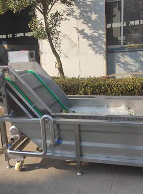 全自动蔬菜气泡清洗机全自动净菜加工设备喷淋气泡清洗机