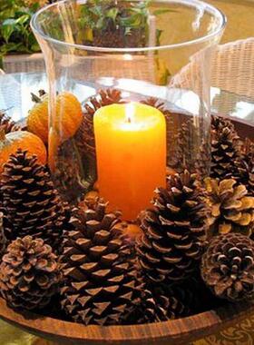18 to 2cm Natural Pine Cones Christmas Pinecones Fall Hallow