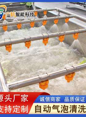 金针菇小番茄清洗机设备全自动果蔬气泡清洗机胡萝卜清洗线设备