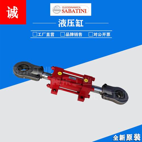 意大利SABATINI油缸SCI100/55/55 B 110 1.1双轴拉杆式液压缸油缸 - 图0