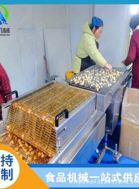 冻干草莓裹麦芽糖浆机600型山豆浸糖机全自动柠檬片挂糖稀设备