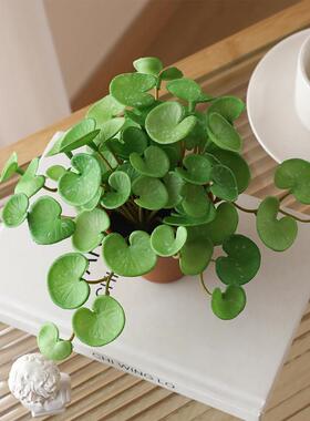 仿真绿植小盆栽假植物尤加利假花盆景室内客厅摆设桌面装饰品摆件
