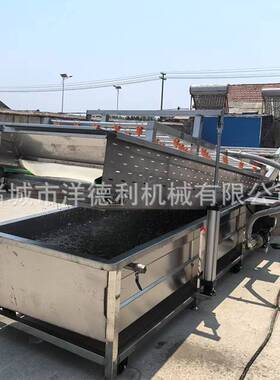 气泡清洗机全自动连续式洗水果设备青菜果蔬生菜喷淋翻转