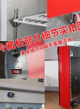 食品留样柜小型带双锁学校幼儿园酒店餐厅食堂商用水果保鲜冷藏柜