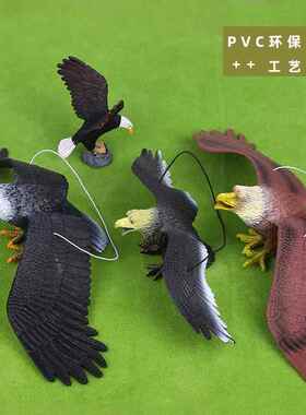 装饰摆件 大号仿真老鹰模型塑胶仿真动物阳台果园驱鸟吓鸟神器玩