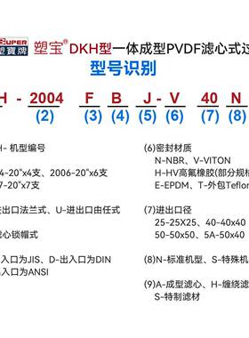 DKH型一体成型PVDF滤芯式过滤器食品饮料精度过滤水处理过滤机